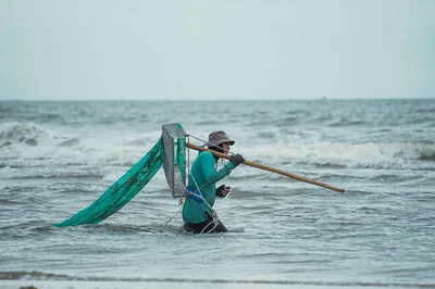 Freelance France : le guide complet pour réussir en 2026